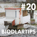 Biodlartips avsnitt 20 - Slätthonung