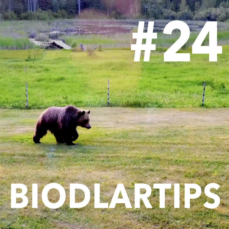 Biodlartips-24-Foto-Mikael-Kjellström