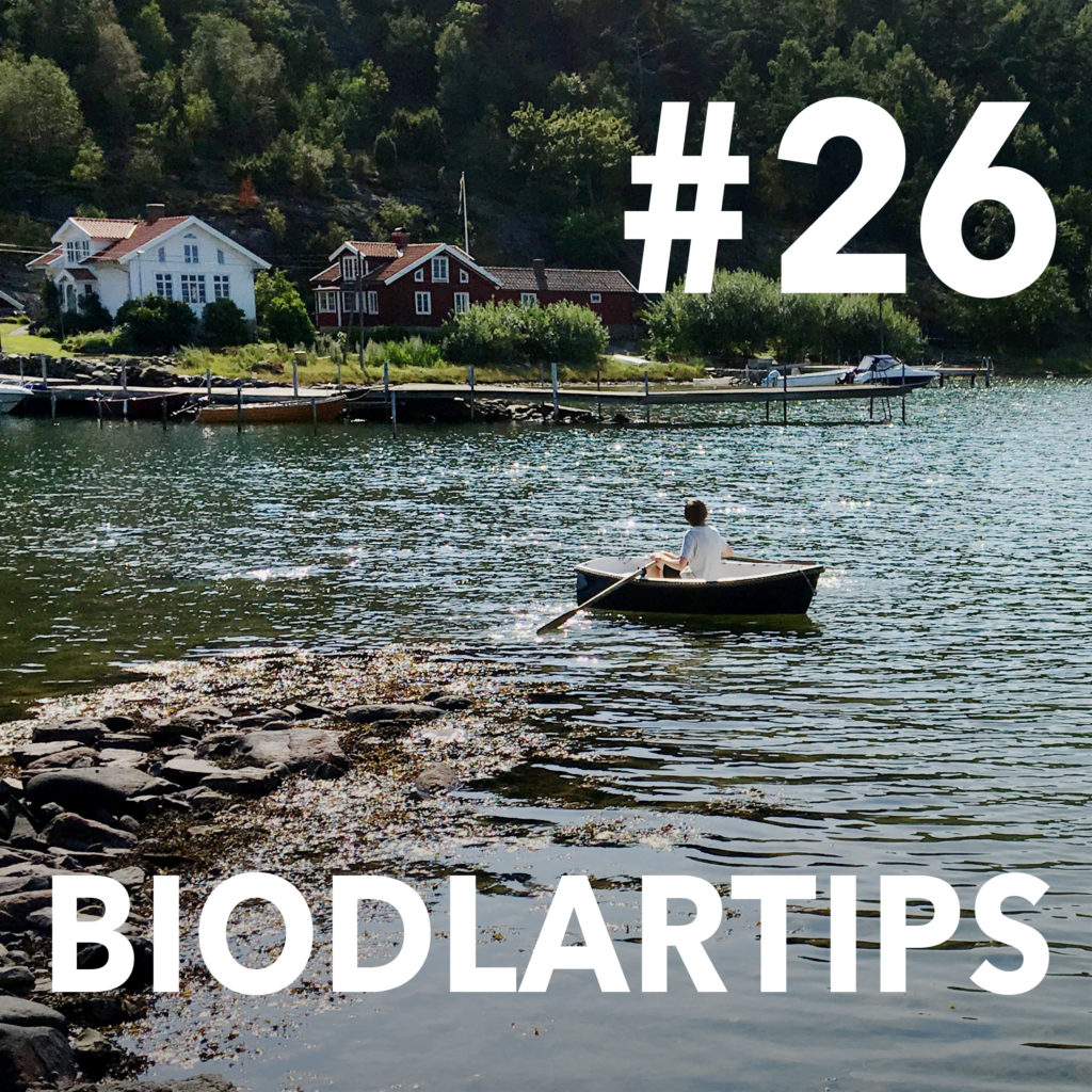 Biodlartips #26 - Flytta bin