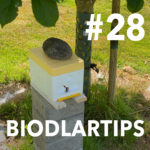 Biodlartips avnitt 28 - parningskassett